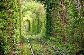 tunel6
